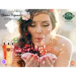 Hollywood Style Body Splash – Image 2