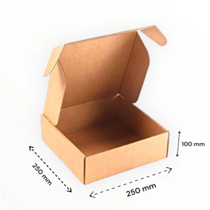 50 boîtes en carton kraft 25x25x10cm