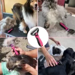 brosse épilateur à poils double face pour chats et chiens, pet shedding brush