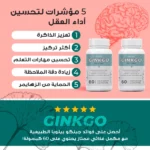herbz ginkgo biloba complément alimentaire pour améliorer la mémoire, concentration, circulation sanguine, antioxydant, combattre alzheimer