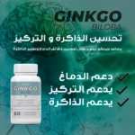 herbz ginkgo biloba complément alimentaire pour améliorer la mémoire, concentration, circulation sanguine, antioxydant, combattre alzheimer
