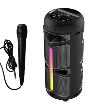 haut-parleur portable bluetooth zqs 4293 avec microphone karaoké