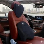 pack 2 coussin cervical lombaire de siège ergonomique de confort voiture dreamrelax noir