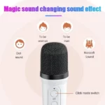 Enceinte Karaoké Lumineuse Sans Fil YS-110 avec 2 Microphones – Image 2