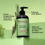 shampooing fortifiant au romarin et menthe mielle organics rosemary mint strengthening shampoo