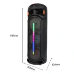 Enceinte Karaoké Bluetooth SING-E ZQS8312 à Éclairage LED RVB – Image 4